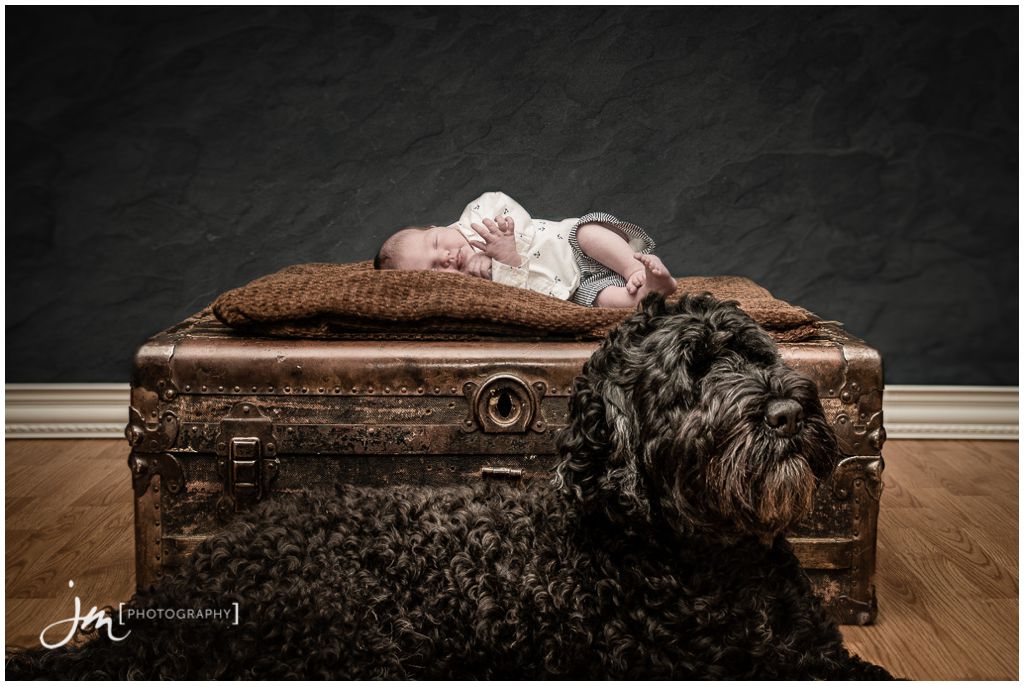 150705_1-Gladstone-Newborn-Photography-Calgary-JM_Photography-Amy-Cheng